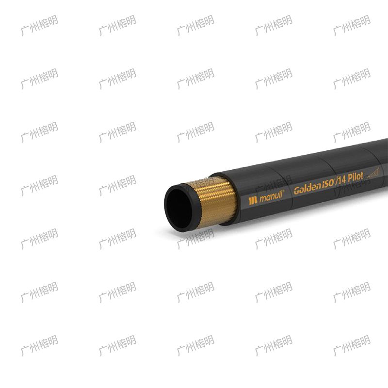 GOLDENISO-14 PILOT.jpg